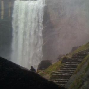 Profile Picture of Brandon Bowles (@bowlez010) on Myspace