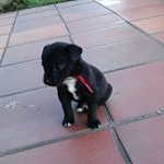 Profile Picture of Thomás Rendón Alzate (@thomas_rendon_a) on Instagram