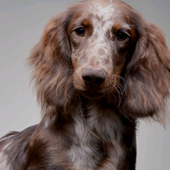 Profile Picture of Александр Миней (@alexanderminey) on Tiktok