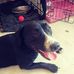 Profile Picture of Joseph Gull (@joseph.gull.984) on Facebook