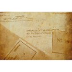 Sandra Waddell - Instagram Profile Picture of Sandra Waddell (@sandrawaddell) on Instagram