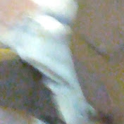 Profile Picture of Michelle Franklin (@michellefranklin7708) on Youtube