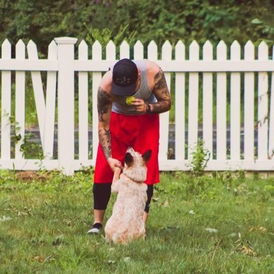 Profile Picture of Steve Simonelli (@Simo73189) on Twitter