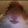 Profile Picture of bobmace567 (@l.o.g.a.n20) on Tiktok