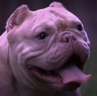 Profile Picture of Byron L Eady (@1.DEEP.SOLDIER) on Facebook