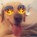 Profile Picture of Bradley Nelson (@bradley.nelson.7121614) on Instagram