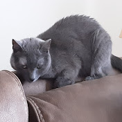 Profile Picture of Robert Kosowski (@rezrob) on Youtube