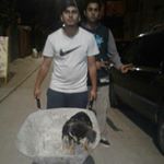 Profile Picture of Adolfo Pino (@adolfo.pino) on Instagram