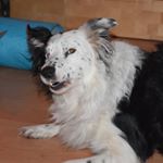 Profile Picture of Lynn Marshall (@lynn3marshall) on Instagram