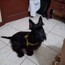 Profile Picture of Luis Galo Idrobo (@GaloidroboLuis) on Twitter