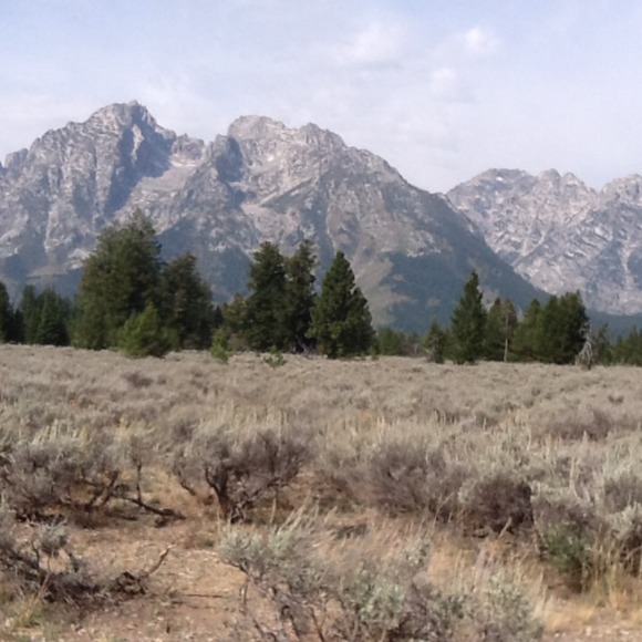 Profile Picture of Steven Eichin (@gwendolyn235) on Poshmark