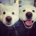 Profile Picture of James Kolpien (@jameskolpien) on Pinterest