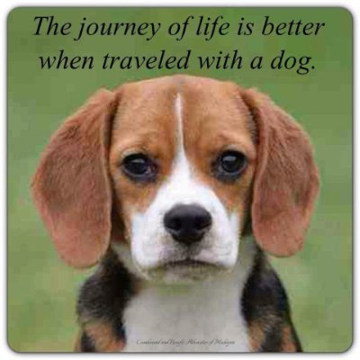 Profile Picture of Chris Bertin (@ChrisBertin4) on Twitter