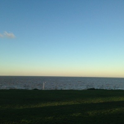 Profile Picture of MATTHEW TWEED (@Ryansian1) on Twitter