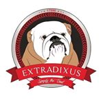 Profile Picture of Luis Berraquero&Maria Merchan🐶 (@extradixusbulldog) on Instagram