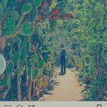 Profile Picture of Calvin S.  Zellner (@2121mango) on Instagram