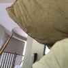 Profile Picture of Eric Exley (@johnsmith423) on Tiktok