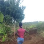 Profile Picture of Jenny Karesh (@Jenny-Karesh) on Facebook