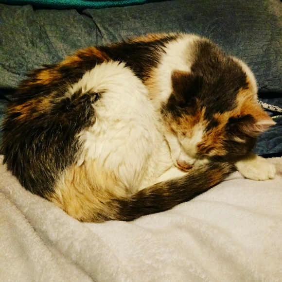 Profile Picture of Hope Pfalzgraff (@hopepfalz) on Poshmark