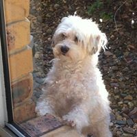 Profile Picture of Libby Gregg (@libby-gregg) on Quora