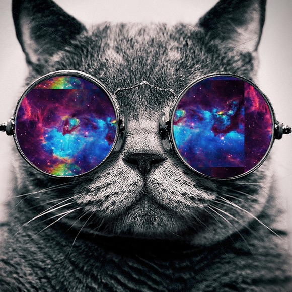 Profile Picture of Christopher Brauer (@c_brauer) on Poshmark