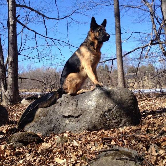 Profile Picture of Jason Ruggiero (@jason_ruggiero) on Poshmark