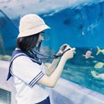 Lily-xiaowanneng - Instagram Profile Picture of Lily-xiaowanneng (@lilyxiaowanneng) on Instagram