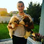 Profile Picture of Robert (@bertonetp) on Instagram