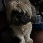 Profile Picture of Ralph Enriquez (@ralph.enriquez.945238) on Facebook