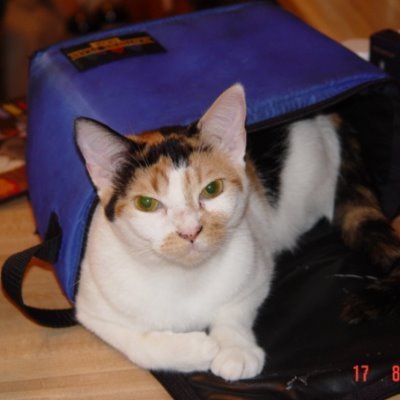 Profile Picture of Richard Pickens (@Richard85116949) on Twitter