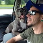 Profile Picture of Paul Vereb (@verebpaul) on Instagram