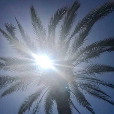 Profile Picture of Claudio Lanza (@claudiolanza11) on Twitter