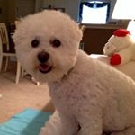 Profile Picture of Constance Olson (@olson.constance) on Instagram