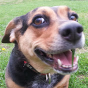 Profile Picture of Mark McInerney (@MarkGL1000) on Youtube