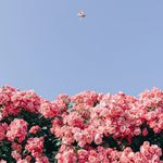 Profile Picture of 일하면서 재수하는 대졸 자취생 (@study.__.again) on Instagram