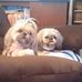 Profile Picture of Lori Downs (@lori.downs.948) on Facebook