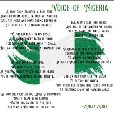 Profile Picture of #Iamanigerian (@AmaraAlbert3) on Twitter