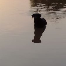 Profile Picture of Jose Llano (@jm_llano) on Twitter