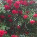 Profile Picture of Xiaofeng Lu (@xiaofeng.lu.353) on Facebook