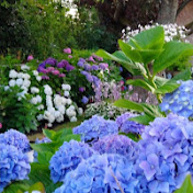 Profile Picture of Agnes Pudlak (@agacan1000) on Youtube