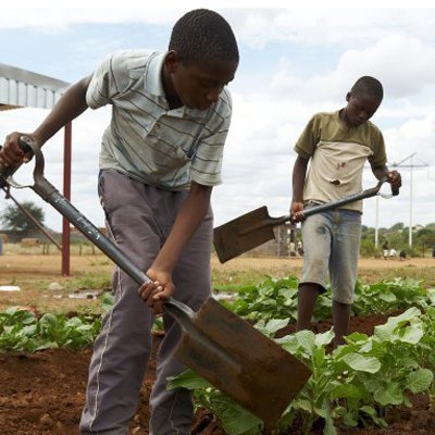 Profile Picture of Stop Child Labor In Zimbabwe (@JenniferEWatts) on Twitter