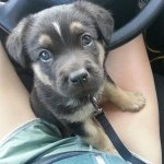 Profile Picture of Kevin Gerry (@kevingerry213) on Instagram