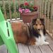 Profile Picture of Leonard Parsons (@leonard3071) on Pinterest