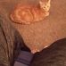 Profile Picture of Dee Adair (@dee.adair.96) on Facebook