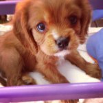 Profile Picture of toby_gonzalez (@toby_gonzalez) on Instagram