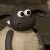 Profile Picture of glenndiver (@@glenndiver) on Tiktok