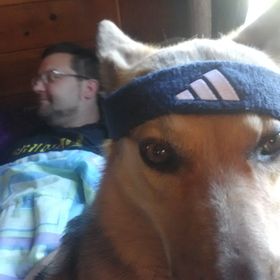 Profile Picture of Mark Kunicki (@markkunicki1) on Pinterest