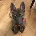 Janelle Clayton - Instagram Profile Picture of Janelle Clayton (@janelleclayton512) on Instagram