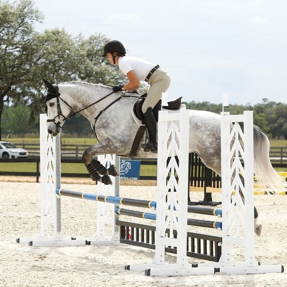 Nora Endzel - Poshmark Profile Picture of Nora Endzel (@nendzel) on Poshmark