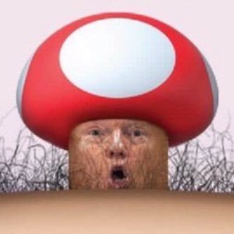 Profile Picture of  🔥 🔥TrumpsterFire 🔥 🔥 (@MikeMattingly2) on Twitter